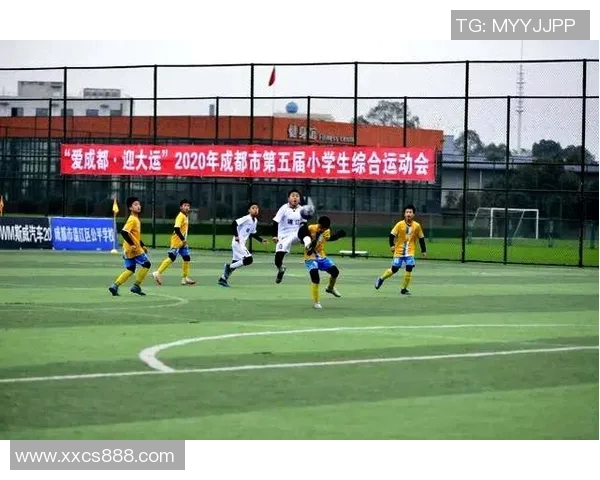 成都飞盘队比赛节奏引发热议球迷与选手各执一词的争论升级