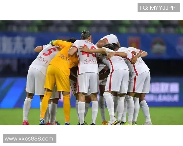 成都排球队意识争议引发热议球迷与专家观点碰撞激烈