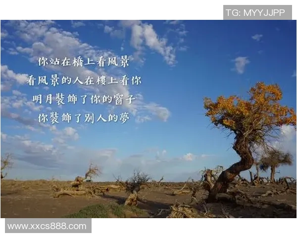 深度对话李伟：从排球少年到职业生涯的心路历程与成长故事